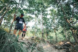 BIB: 
                            <button type="button" onclick="openModal(25982031)" class="btn btn-primary btn-sm float-right btn-popup" data-toggle="modal" data-target=".modal-high-quality">
                        <i class="fas fa-shopping-cart"></i> Add to Cart
                    </button>
                                            <button type="button" onclick="isThisMe(25982031, true)" class="btn btn-success btn-sm float-right btn-popup btn-isme hidden" data-toggle="tooltip" data-placement="bottom" title="นี่คือรูปของคุณใช่ไหม คลิกที่นี่เพื่อเอาเข้าอัลบั้ม">
                        <i class="fas fa-plus"></i> Add to album
                    </button>
                    <button type="button" onclick="isThisMe(25982031, false)" class="btn btn-warning btn-sm float-right btn-popup btn-isnotme hidden">
                        <i class="fas fa-ban"></i> Remove from album
                    </button>